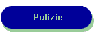 Pulizie