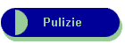 Pulizie